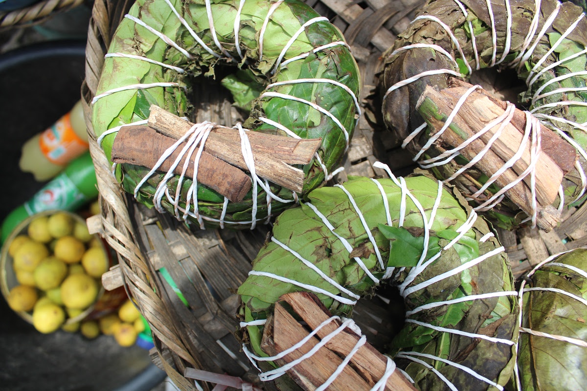 aju-mbaise Aju Mbaise